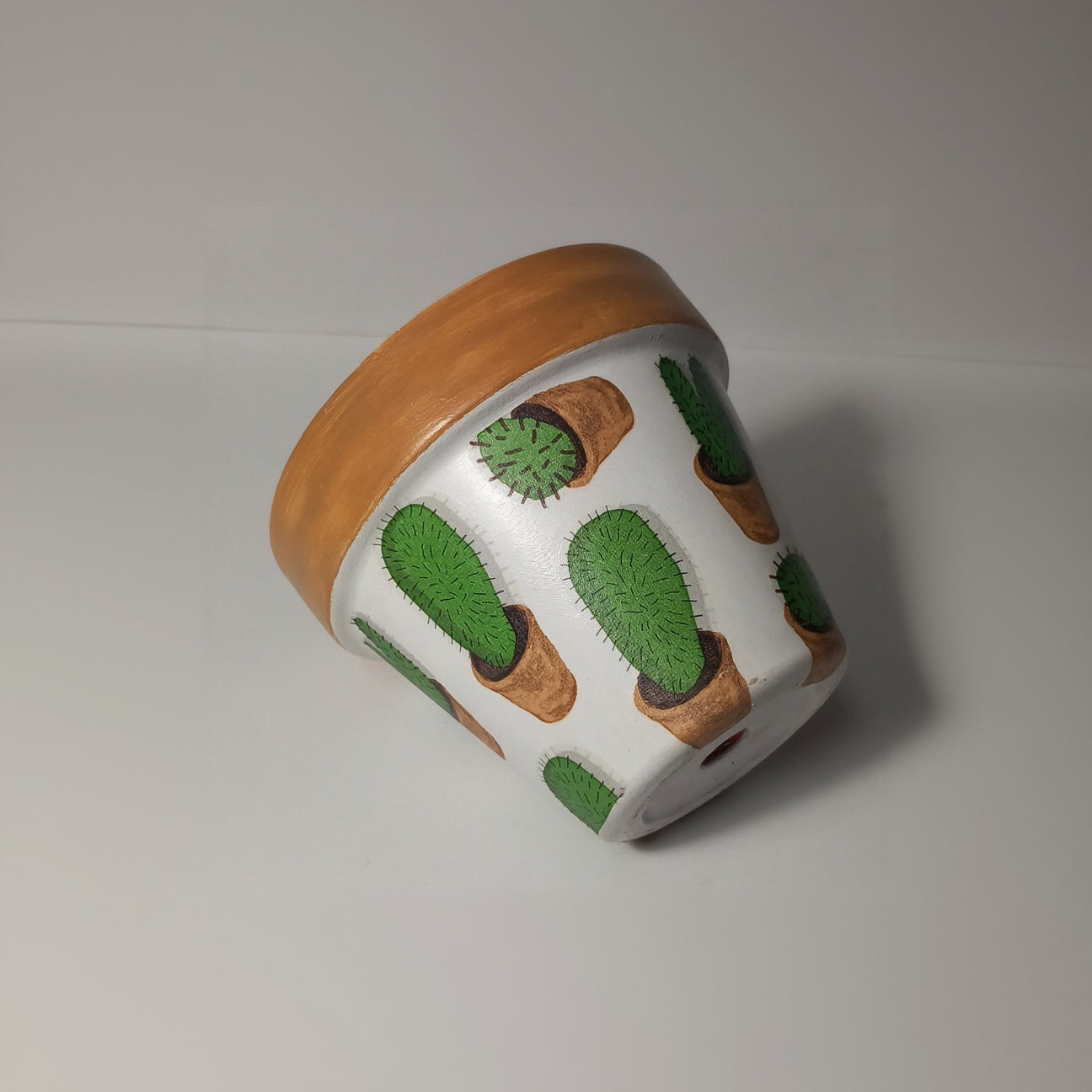 Maceta cactus