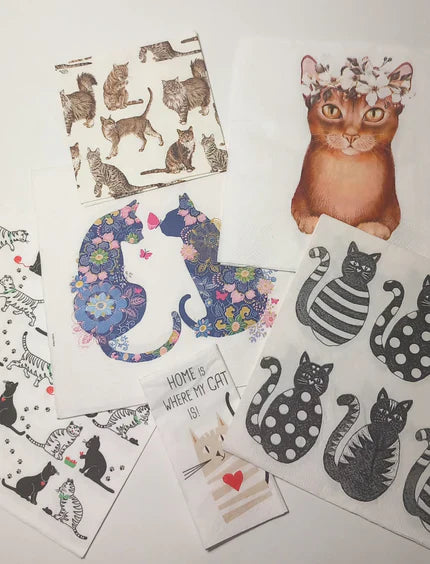 Cat Lovers