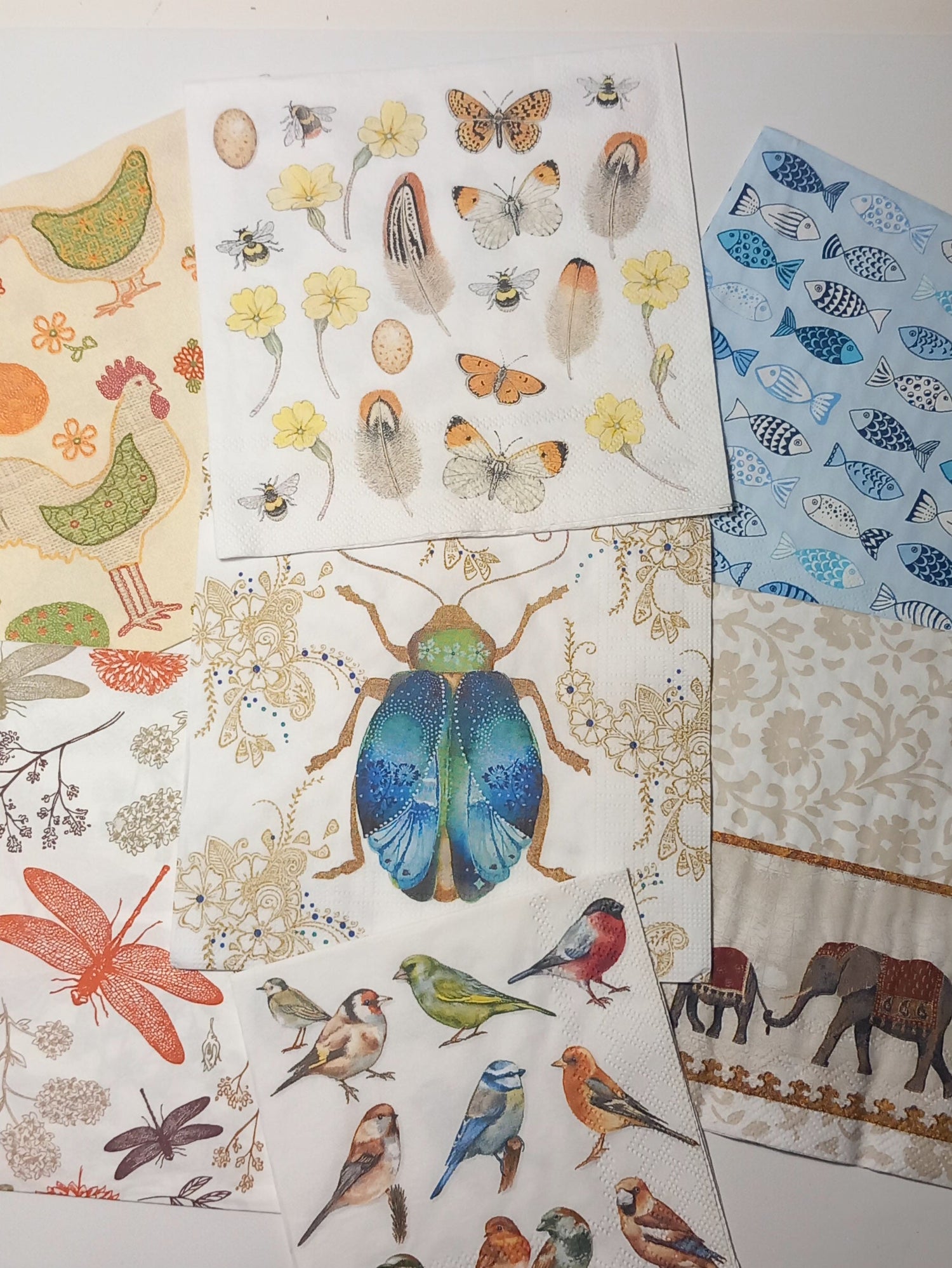 Animalario