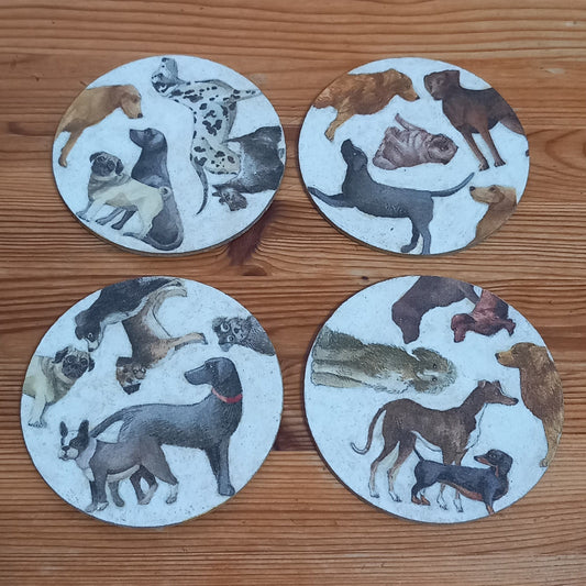 Posavasos razas de perro