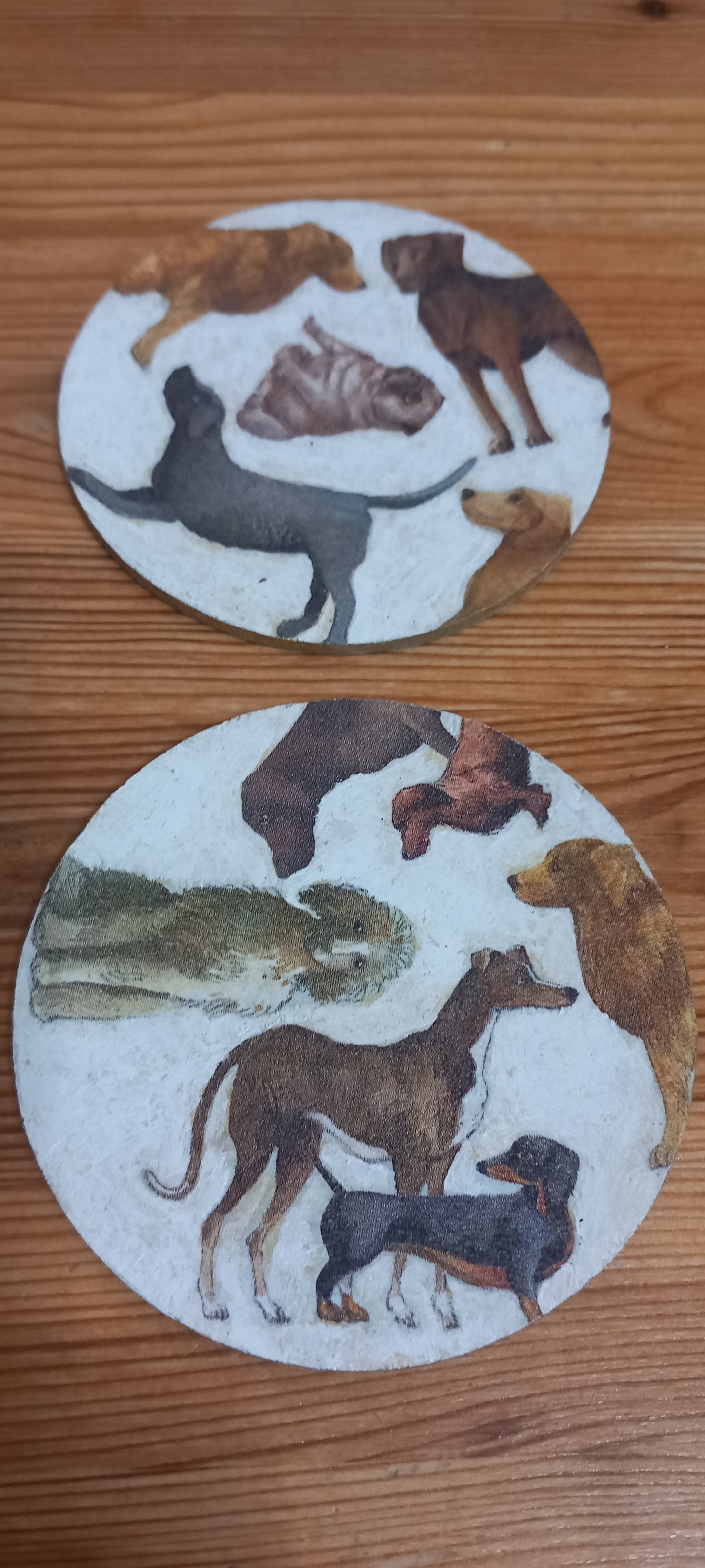 Posavasos razas de perro