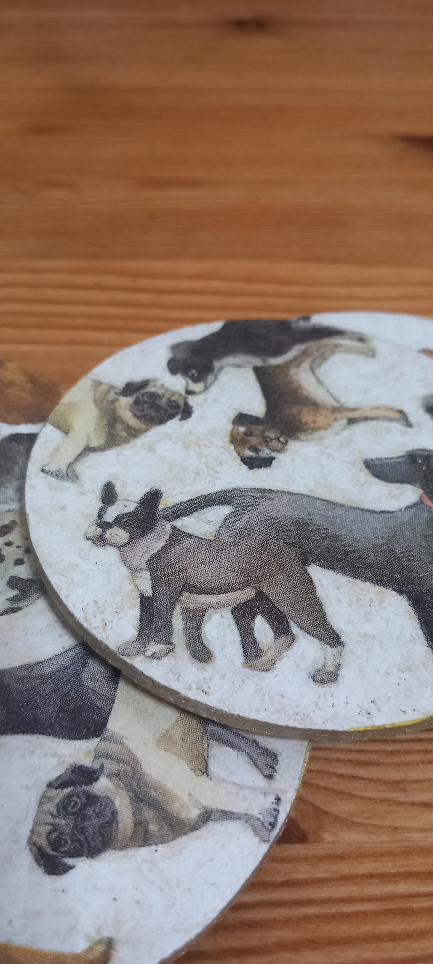 Posavasos razas de perro