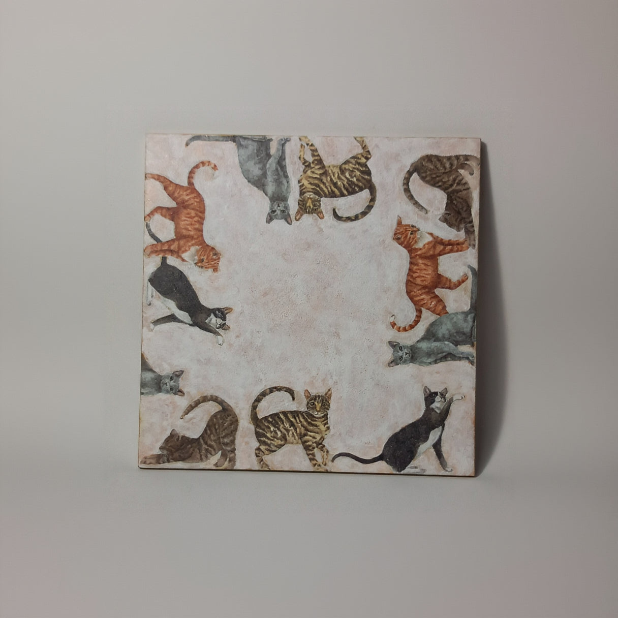 Azulejo gatos a tu alrededor