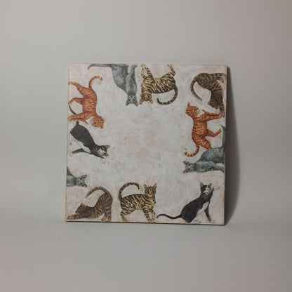 Azulejo gatos a tu alrededor