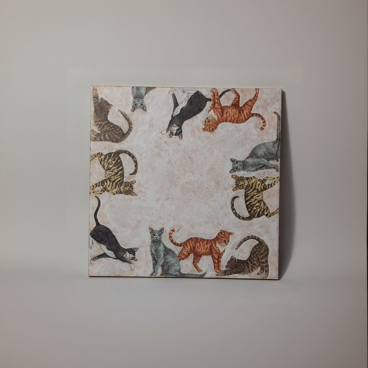 Azulejo gatos a tu alrededor
