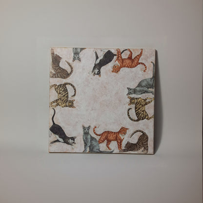 Azulejo gatos a tu alrededor